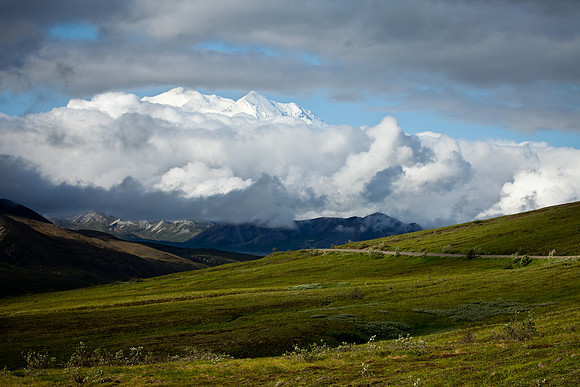 Denali National Park