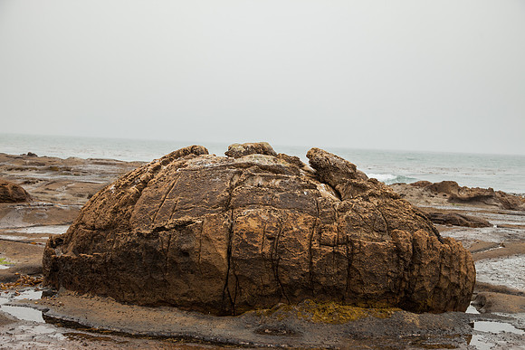 Shag Point Beach Walk