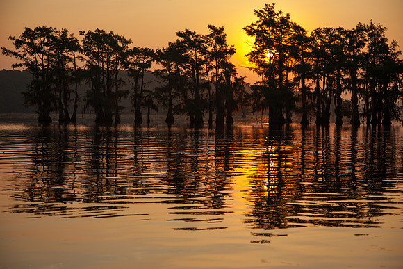 Caddo Lake
