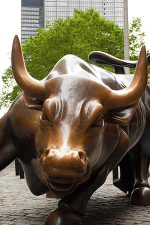 Bowling Green Bull