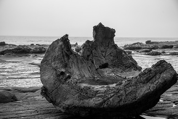 Shag Point Beach Walk