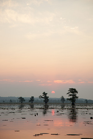 Caddo Lake