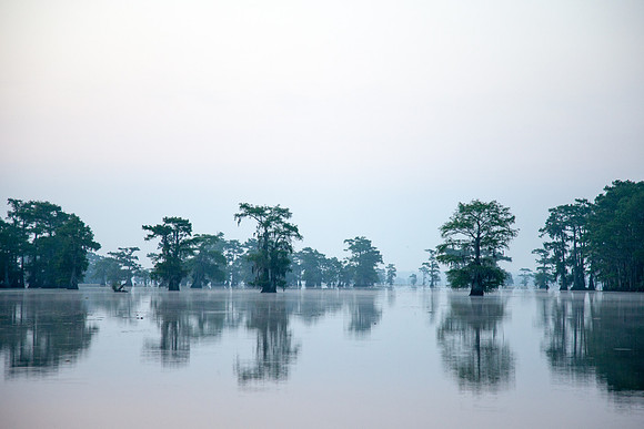 Caddo Lake