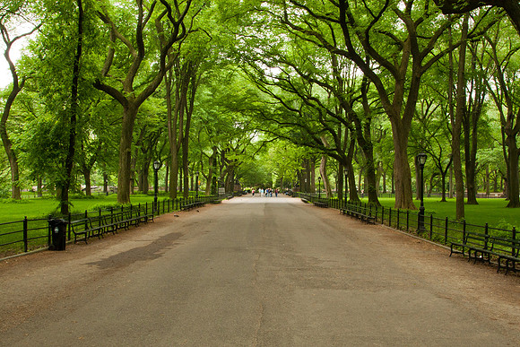 The Central Park Mall