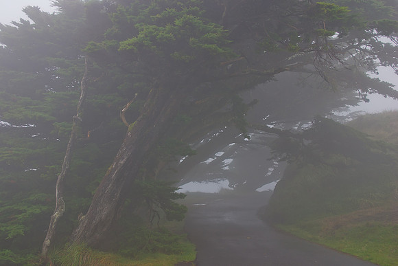 Point Reyes National Seashore