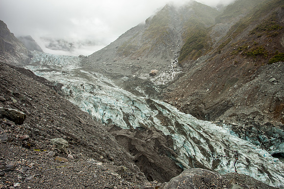 Fox Glacier Walk, West Coast near Fox Glacier