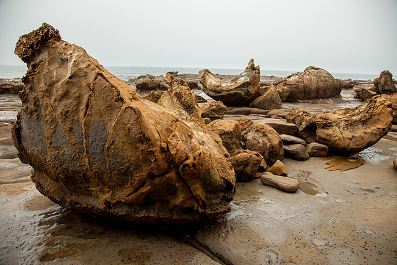 Shag Point Beach Walk