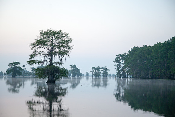 Caddo Lake