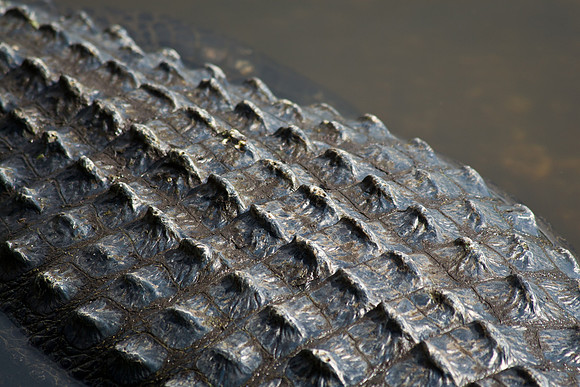 Everglades National Park