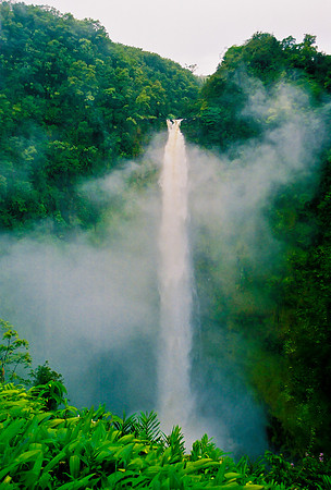 Akaka Falls