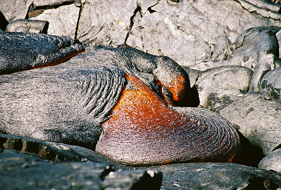 Hawaii Volcanoes National Park