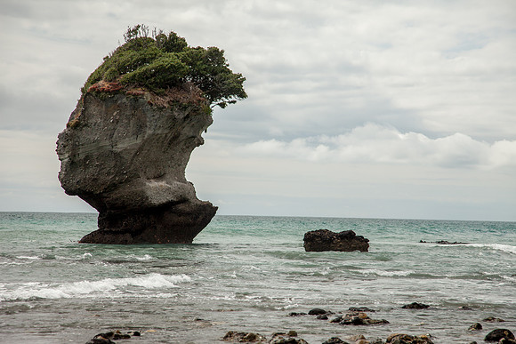 Motukiekie Beach Walk, West Coast near Greymouth