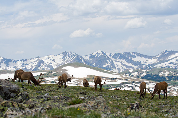 Rocky Mountain National Park