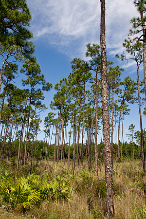 Everglades National Park