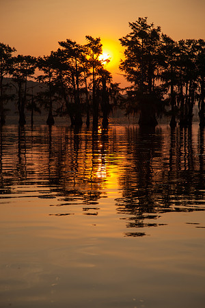 Caddo Lake