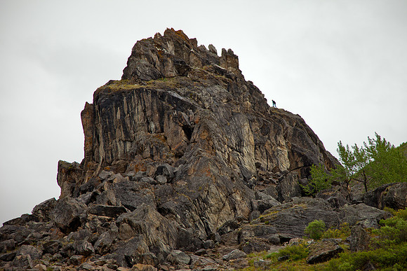 Denali National Park