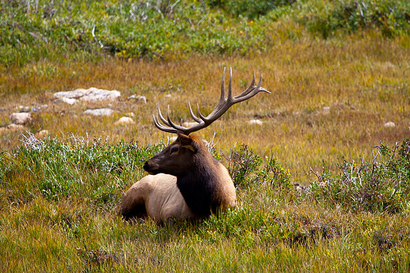 Rocky Mountain National Park