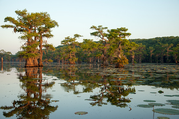 Caddo Lake
