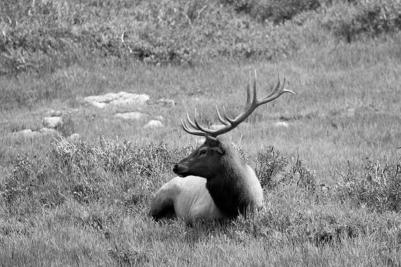 Rocky Mountain National Park