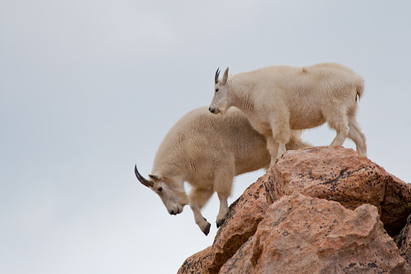 Mount Evans (14,265 feet)