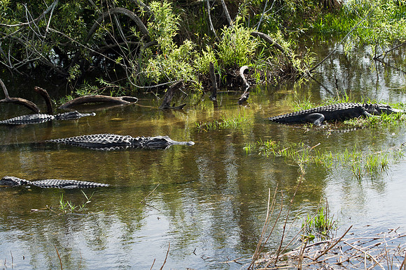 Everglades National Park