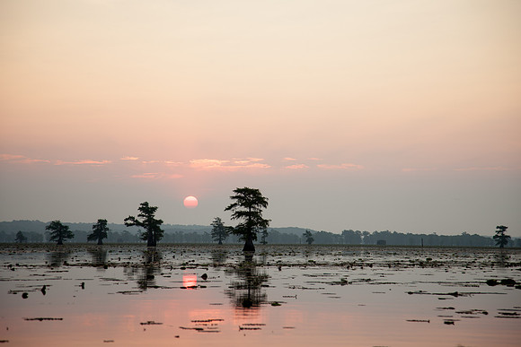 Caddo Lake